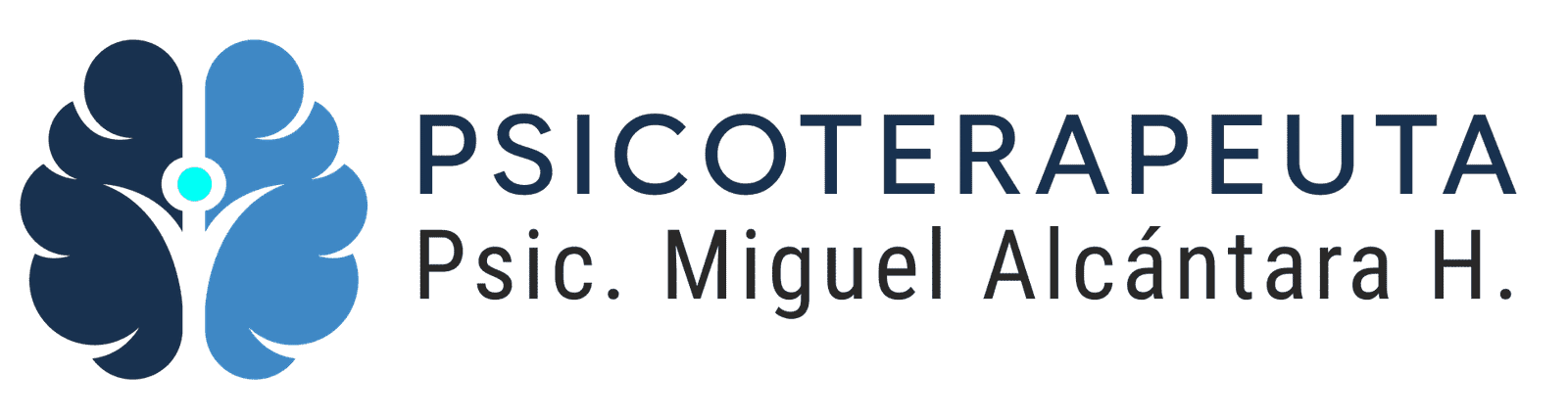 Psicoterapia individual en niños y adultos en CDMX - Psic. Miguel Alcántara Hernández