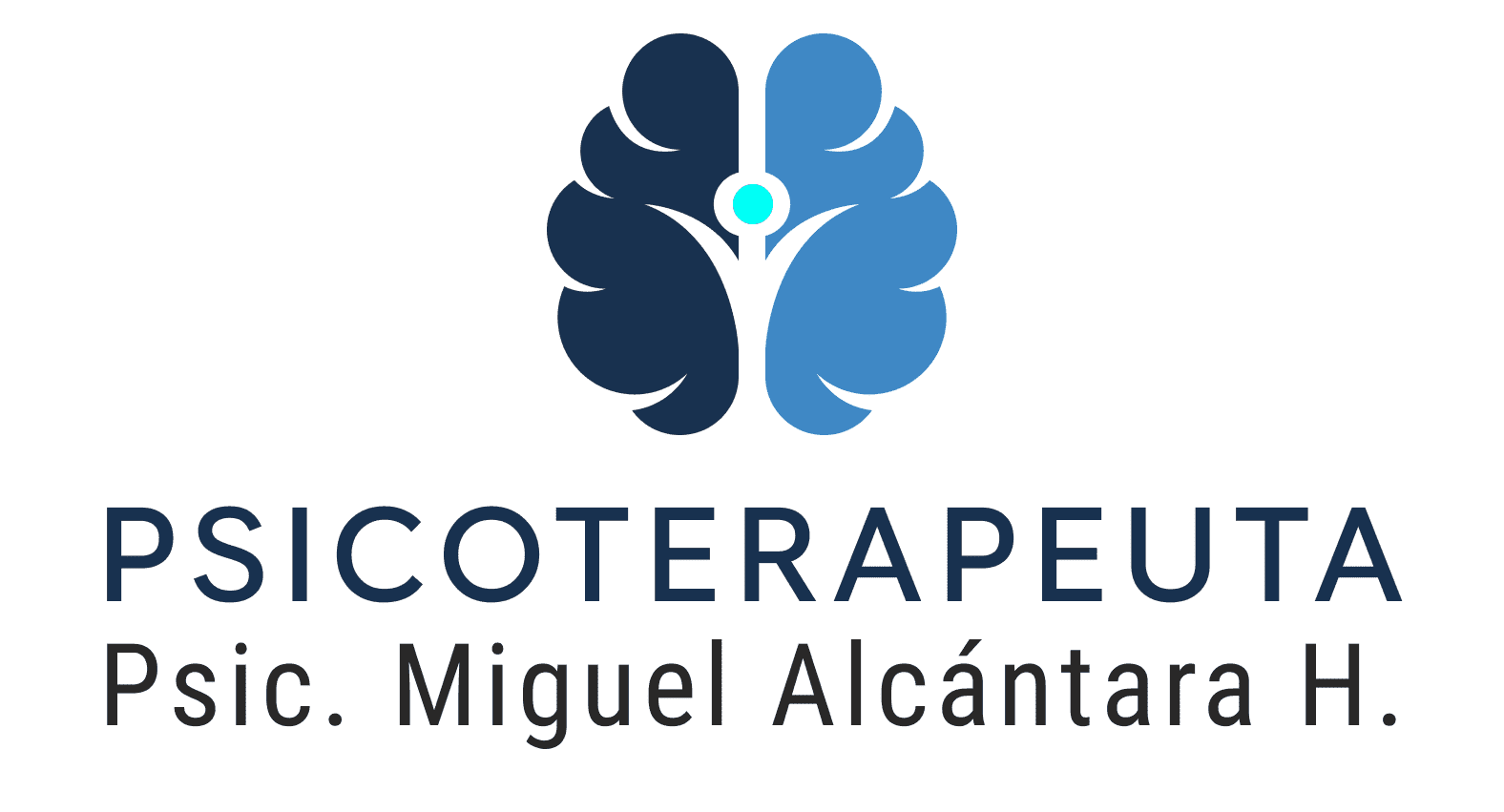 Psicoterapia individual en niños y adultos en
                CDMX - Psic. Miguel Alcántara Hernández